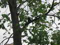\[IMG_0785.JPG\]