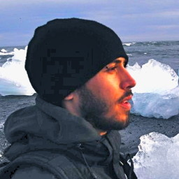 Julien Tierny